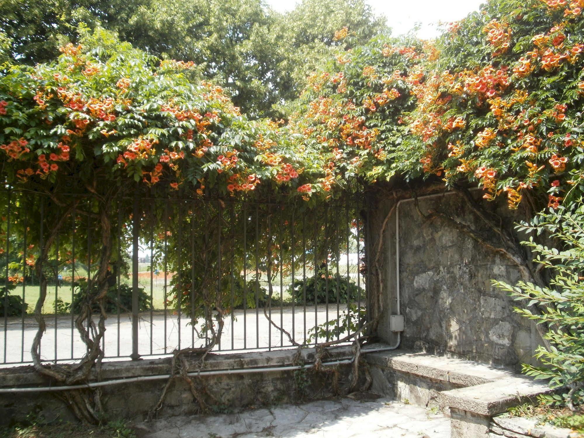 Albergo Villa & Roma Pallazzolo sullʼOglio Exteriör bild